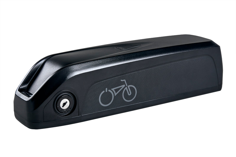 RadCity 4 battery pack