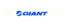 Giant bikes company logo