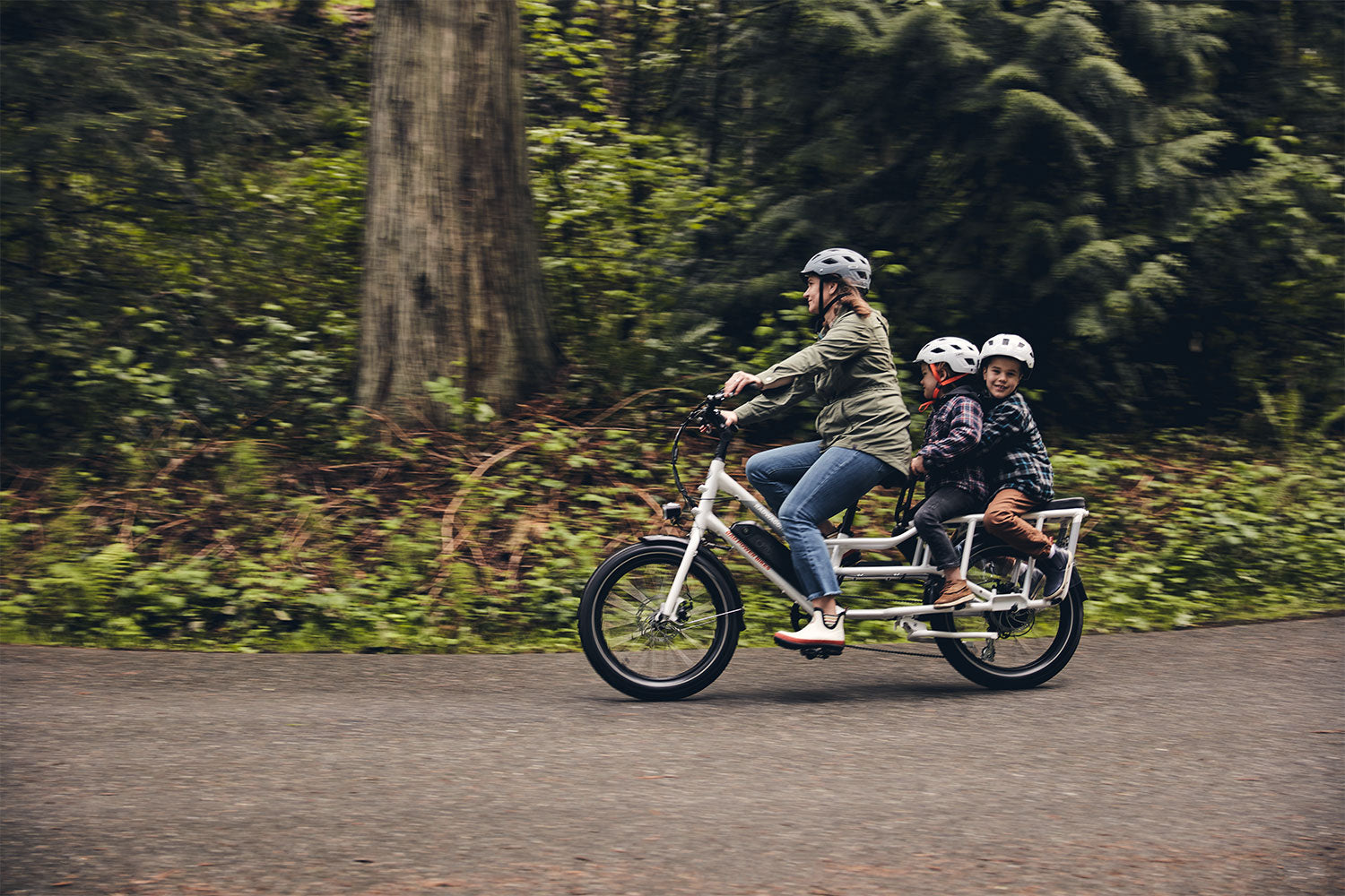 Rad Wagon 4 Cargo e-bike