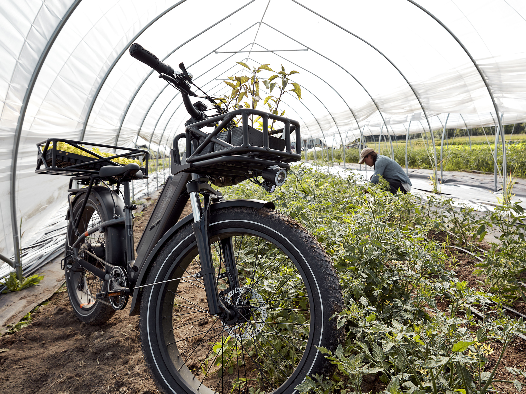 rad power bikes fat-tire e-bike