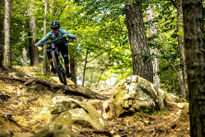 Bullit on trails